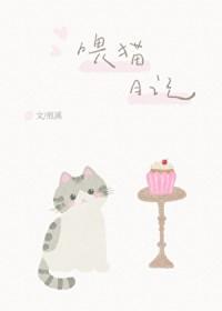 喂猫日记by煎溪TXT