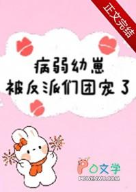 第五本病弱反派饲养指南 作者小孩爱吃糖