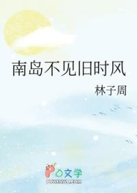 南岛不见旧时风TXT百度免费阅读
