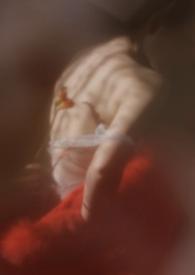 狐狸tⅴ