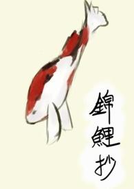 锦鲤抄抄袭