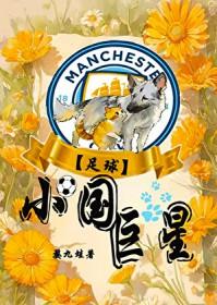 足球小国巨星txt