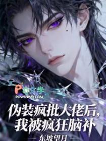 伪装成大佬的小仙女