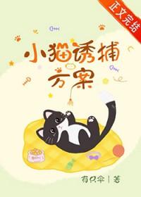 小猫诱捕方案晋江
