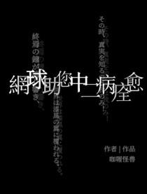 网球王子之主攻lⅴl