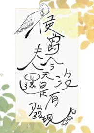 侯爵夫人影评