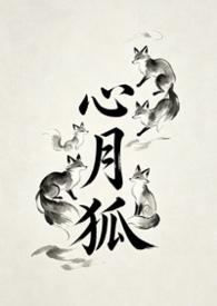 心月狐代表什么生肖