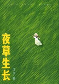 夜草泡水喝有什么功效