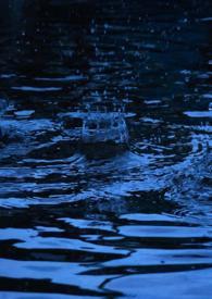 春风雨(纯百)_gl