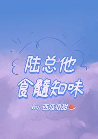 陆总他食髓知味TXT