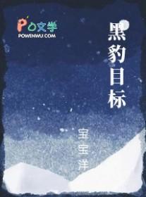 黑豹目标